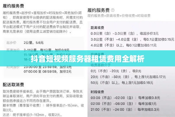 抖音短视频服务器租赁费用全解析