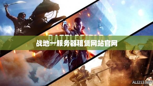 战地一服务器租赁网站官网