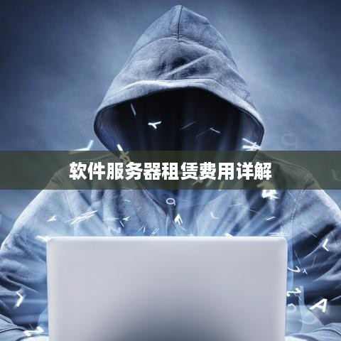 软件服务器租赁费用详解
