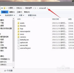 我的世界电脑租赁服务器怎么加mod