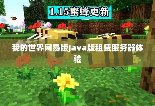 我的世界网易版Java版租赁服务器体验