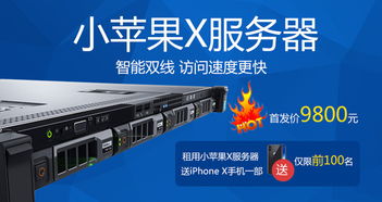 联通服务器租赁一年多少钱？