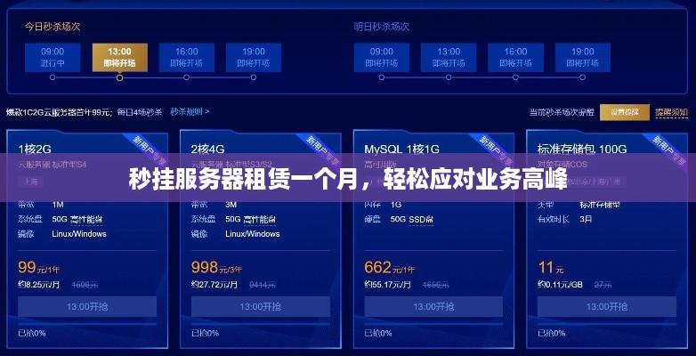 秒挂服务器租赁一个月，轻松应对业务高峰