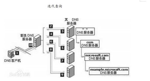 域名服务器租赁费用解析
