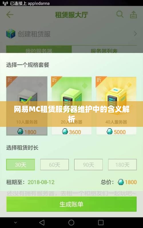 网易MC租赁服务器维护中的含义解析