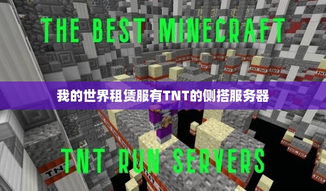 我的世界租赁服有TNT的侧搭服务器