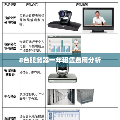 8台服务器一年租赁费用分析