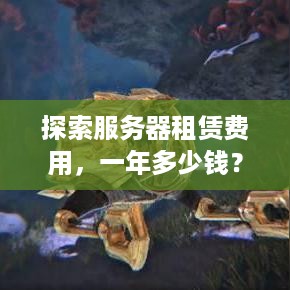 探索服务器租赁费用，一年多少钱？