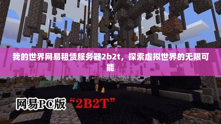 我的世界网易租赁服务器2b2t，探索虚拟世界的无限可能