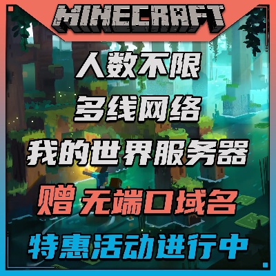 我的世界网易租赁服务器2b2t，探索虚拟世界的无限可能
