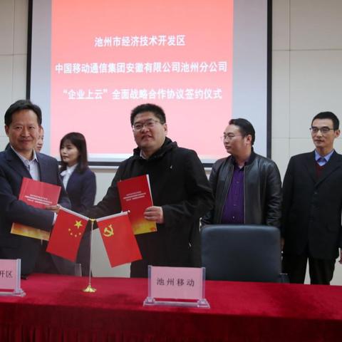 租赁服务器的费用分析与案例解读