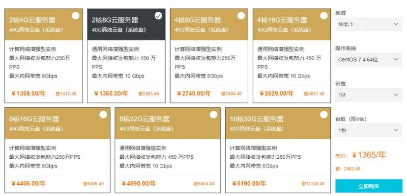 租赁服务器一年的费用解析