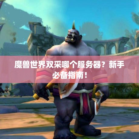 魔兽世界双采哪个服务器？新手必备指南！