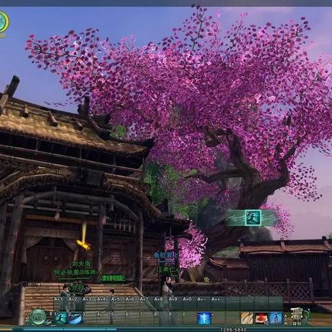 剑网3选择哪个服务器，全面指南