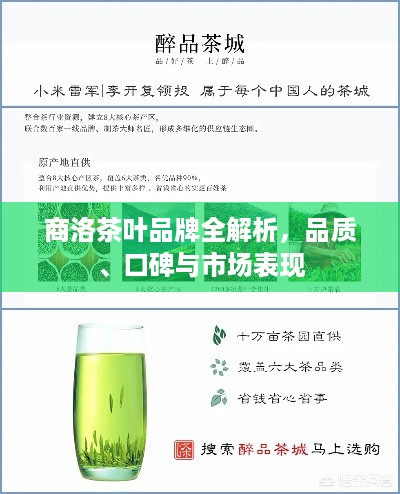 商洛茶叶品牌全解析，品质、口碑与市场表现
