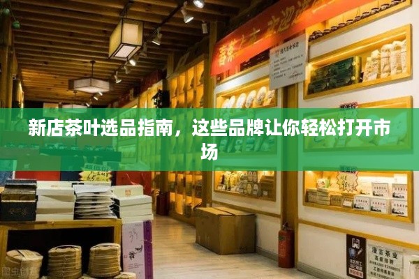 新店茶叶选品指南，这些品牌让你轻松打开市场