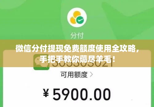 微信分付提现免费额度使用全攻略，手把手教你薅尽羊毛！