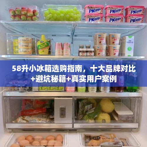 58升小冰箱选购指南，十大品牌对比+避坑秘籍+真实用户案例