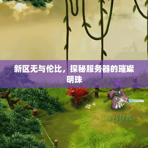 新区无与伦比，探秘服务器的璀璨明珠
