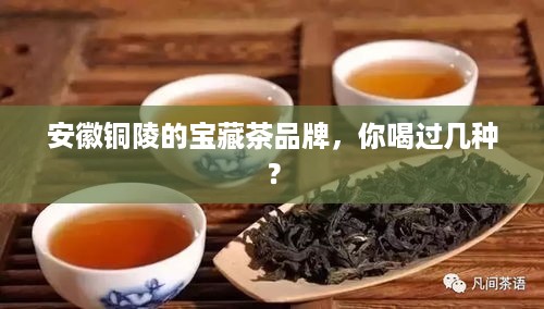 安徽铜陵的宝藏茶品牌，你喝过几种？