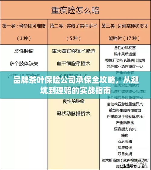 品牌茶叶保险公司承保全攻略，从避坑到理赔的实战指南