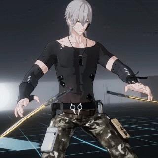 战双帕弥什官网是哪个服务器