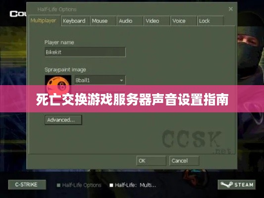 死亡交换游戏服务器声音设置指南