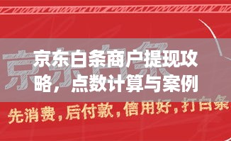 京东白条商户提现攻略，点数计算与案例分析