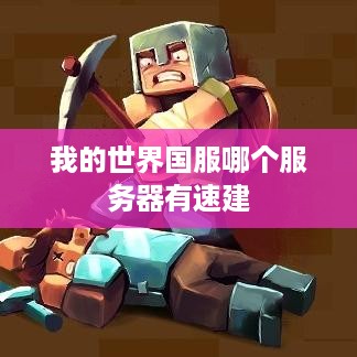 我的世界国服哪个服务器有速建