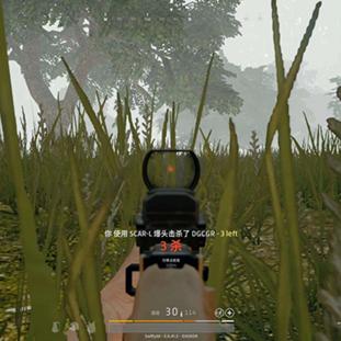 cod16服务器选择哪个深度解析与实战指南