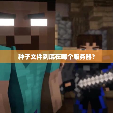 种子文件到底在哪个服务器？