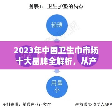 2023年中国卫生巾市场十大品牌全解析，从产品创新到消费者选择