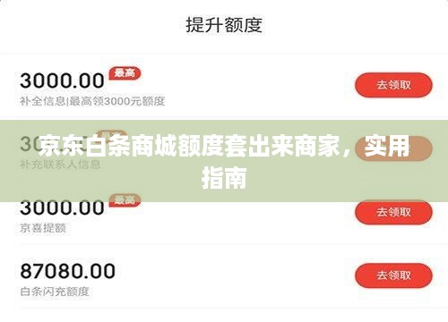 京东白条商城额度套出来商家，实用指南