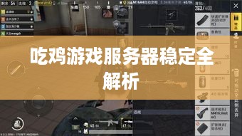 吃鸡游戏服务器稳定全解析