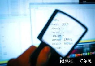 查开房记录数据深度揭秘，如何合法合规地获取与使用这些信息