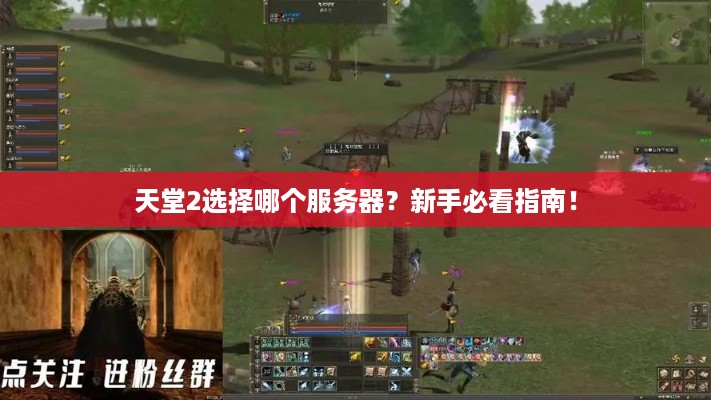 天堂2选择哪个服务器？新手必看指南！