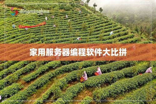 家用服务器编程软件大比拼 家用服务器编程软件大比拼