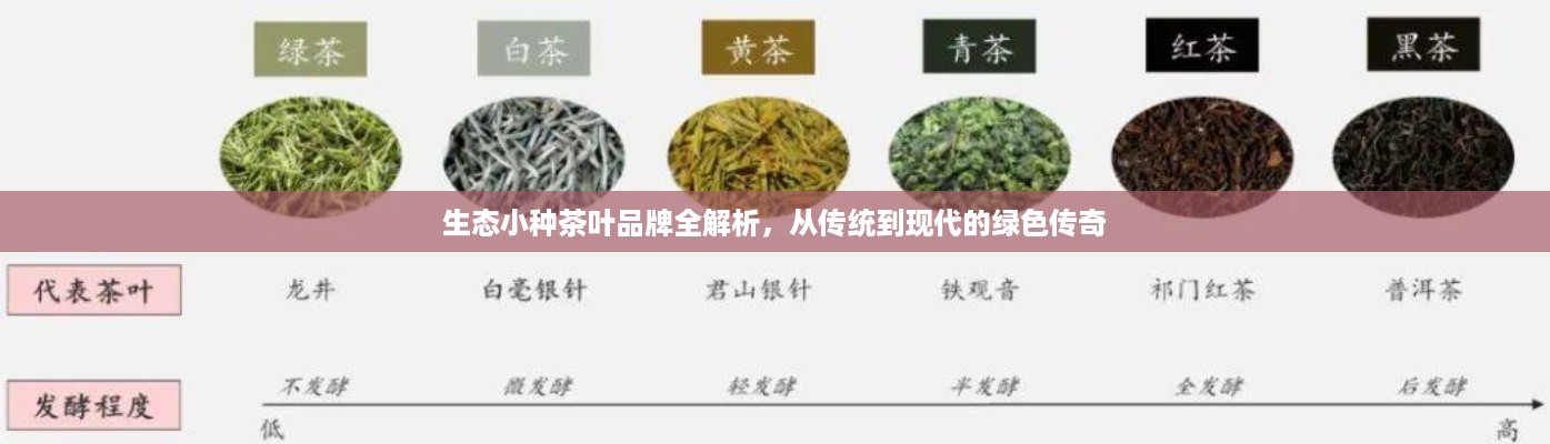 生态小种茶叶品牌全解析,从传统到现代的绿色传奇 生态小种茶叶品牌全解析,从传统到现代的绿色传奇