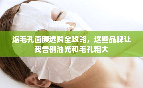 缩毛孔面膜选购全攻略,这些品牌让我告别油光和毛孔粗大 缩毛孔面膜选购全攻略,这些品牌让我告别油光和毛孔粗大