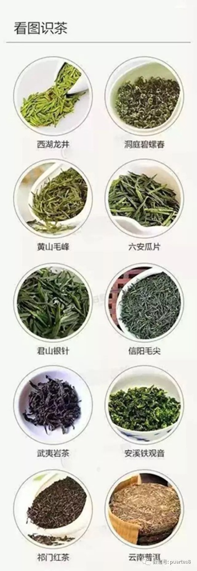茶叶品牌和功效全解析,从老字号到新锐品牌,喝出健康好滋味 茶叶品牌和功效全解析,从老字号到新锐品牌,喝出健康好滋味