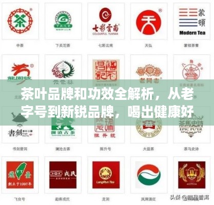 茶叶品牌和功效全解析,从老字号到新锐品牌,喝出健康好滋味 茶叶品牌和功效全解析,从老字号到新锐品牌,喝出健康好滋味