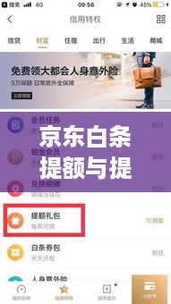 京东白条提额与提现全攻略 京东白条提额与提现全攻略