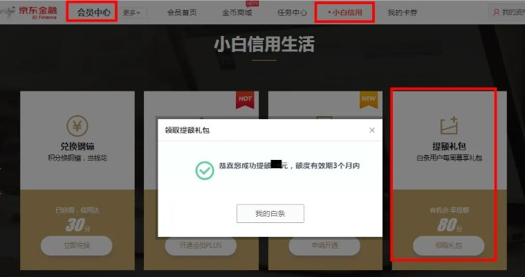 京东白条取现免服务费，让你轻松应对资金周转难题