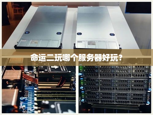 命运二玩哪个服务器好玩? 命运二玩哪个服务器好玩?
