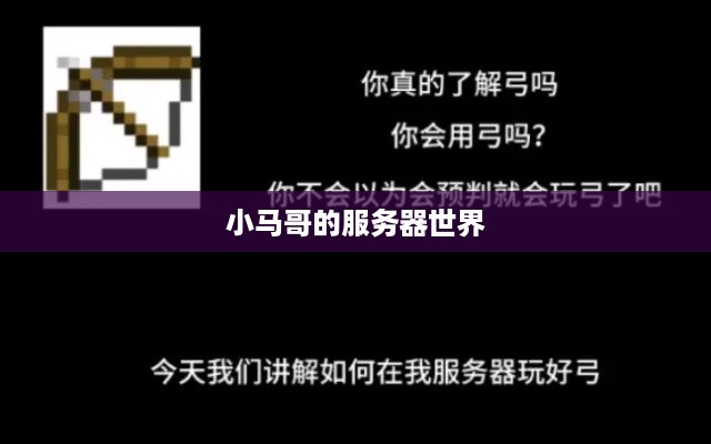 小马哥的服务器世界
