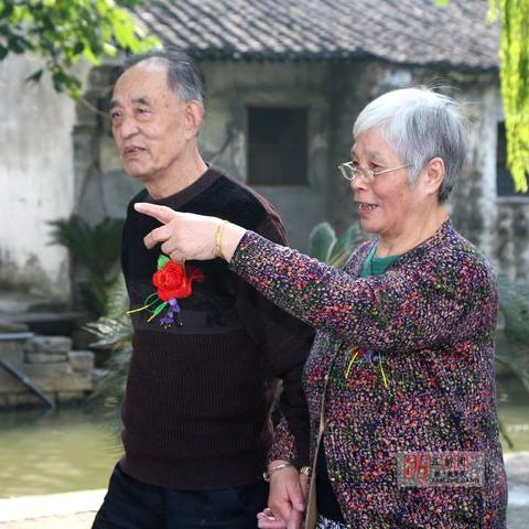 北海蛋糕面包品牌排行,本地老字号与网红新秀的生存战 北海蛋糕面包品牌排行,本地老字号与网红新秀的生存战