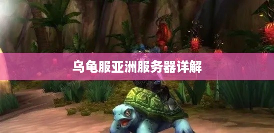 乌龟服亚洲服务器详解