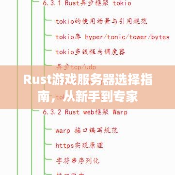 Rust游戏服务器选择指南，从新手到专家