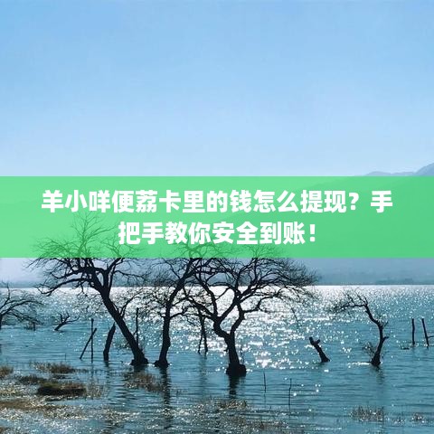 羊小咩便荔卡里的钱怎么提现?手把手教你安全到账! 羊小咩便荔卡里的钱怎么提现?手把手教你安全到账!