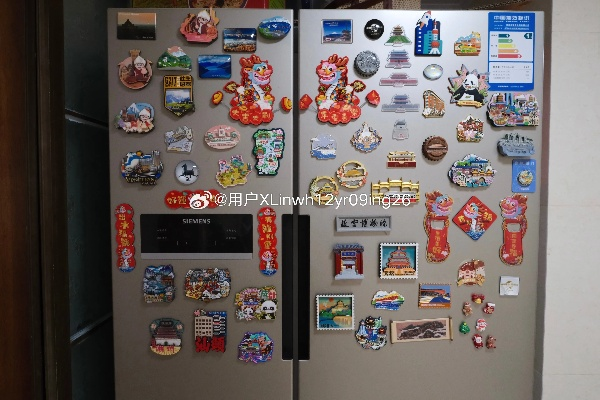 日本冰箱贴纸正品品牌全解析,如何挑选高颜值又实用的家居好物? 日本冰箱贴纸正品品牌全解析,如何挑选高颜值又实用的家居好物?